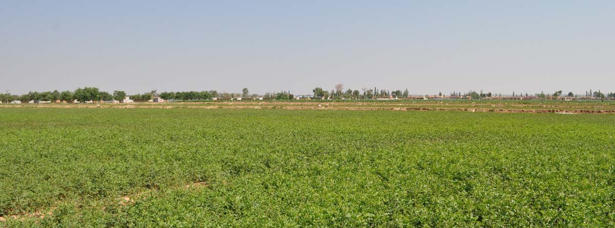 1574483564566486.jpg 1200.jpg